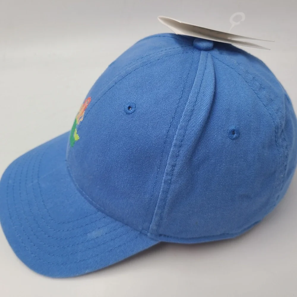 Harding Lane Hat Strapback Blue Green Mermaid Needlepoint Logo Golf Casual Men